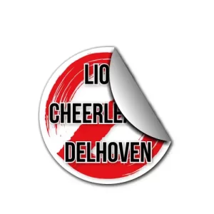 LCD Lions Cheerleader Delhoven Cheersport Training Sport Cheerleading Sticker Vinyl Aufkleber