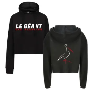 LGC Le Geant Cheerleading Cheersport Cheerleader Sport Training Team France Frankreich Flyerhoodie