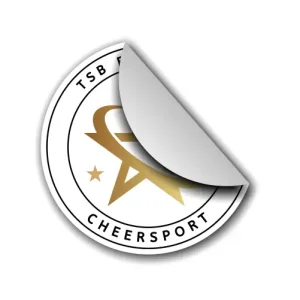 TSB Flensburg Cheersport Stars Training Sport Cheerleading Cheerleader Team Sticker